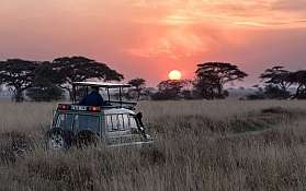 African Safari Lodges