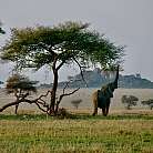 Destinations EasternAfrica 1